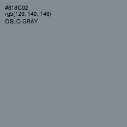 #818C92 - Oslo Gray Color Image